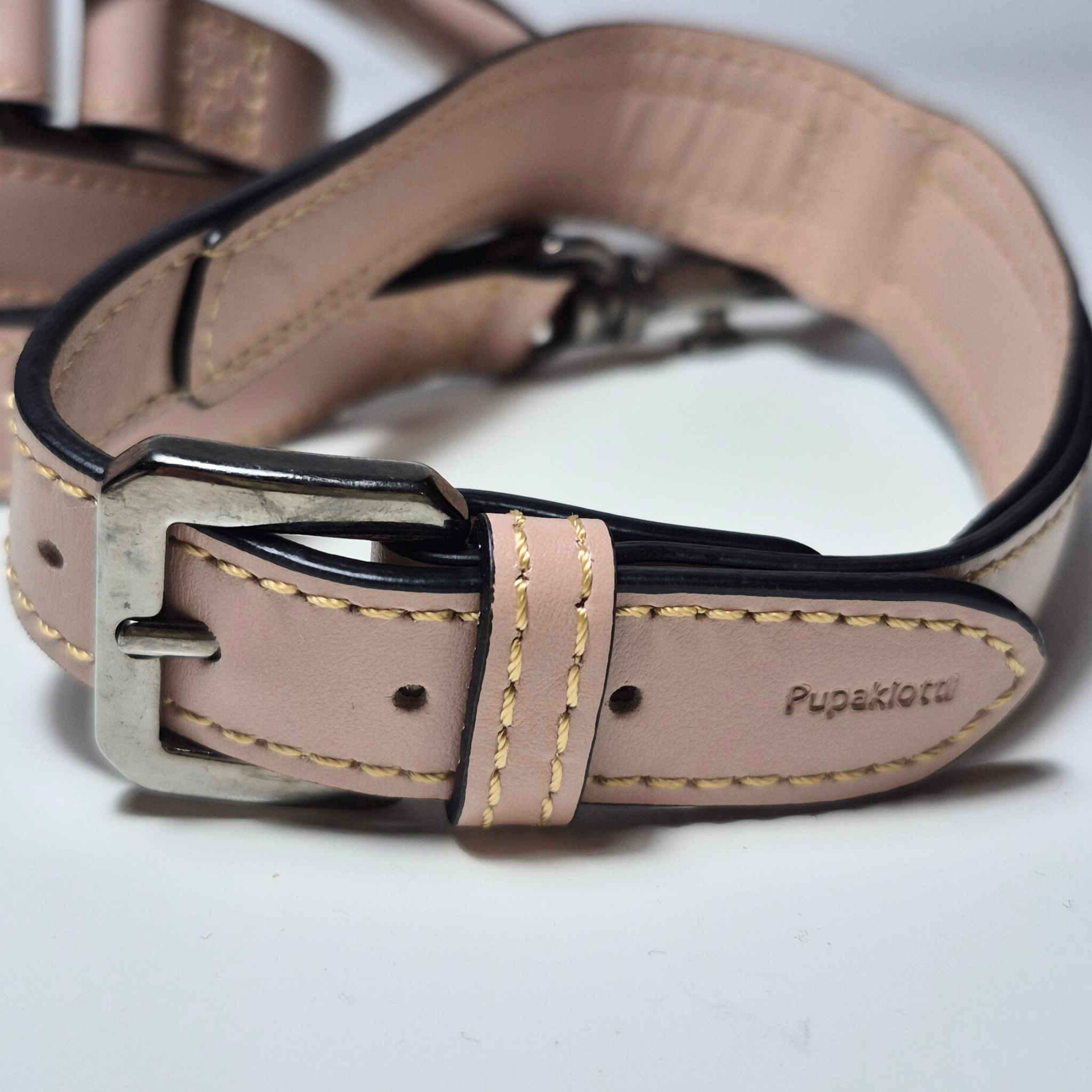 Set Collare e Guinzaglio in Pelle con Porta Sacchetti